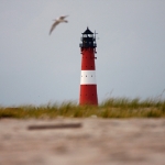 Sylt Okt2009 094