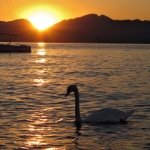 Gardasee Sep 2015 - 095