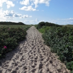 Sylt 2017 - 071