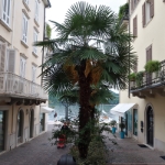 Gardasee Mai 2018 - 018