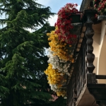 Gardasee Mai 2018 - 055