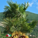 Gardasee Mai 2018 - 202