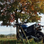 Herbstrunde Triumph Scrambler xe - 04
