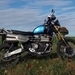 Herbstrunde Triumph Scrambler xe - 06
