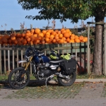 Herbstrunde mit Triumph Scrambler XE