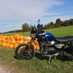 Oetztal Tour Triumph Scrambler xe - 49