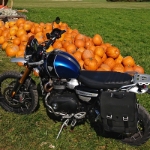 Oetztal Tour Triumph Scrambler xe - 50