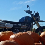 Oetztal Tour Triumph Scrambler xe - 51