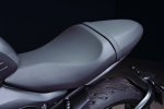 Triumph Trident 660 - 21