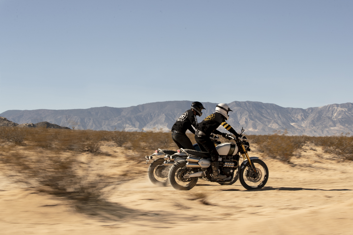 Triumph Scrambler 1200 - 2019 - 19